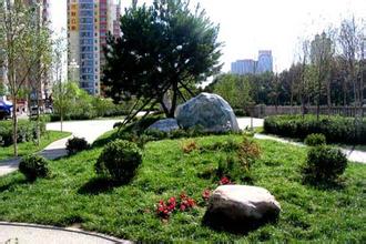 園林綠化養(yǎng)護(hù) 園林綠化養(yǎng)護(hù)