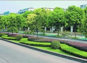 無錫綠化養(yǎng)護工程 無錫綠化養(yǎng)護工程