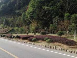 無錫綠化養(yǎng)護