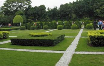 無錫廣場(chǎng)綠化工程 無錫廣場(chǎng)綠化工程