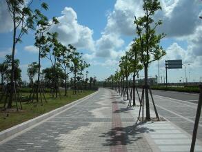 無(wú)錫綠化養(yǎng)護(hù)工程 無(wú)錫綠化養(yǎng)護(hù)工程