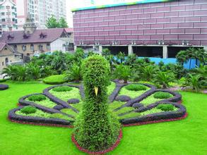 無錫綠化養(yǎng)護(hù)工程