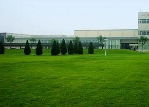 無(wú)錫綠化養(yǎng)護(hù)工程公司 無(wú)錫綠化養(yǎng)護(hù)工程公司