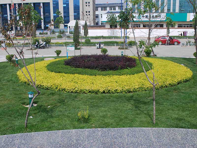 公路綠化養(yǎng)護(hù)價(jià)格