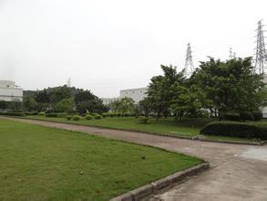 無錫綠化養(yǎng)護 無錫綠化養(yǎng)護