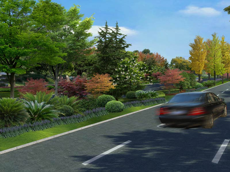 公路綠化養(yǎng)護(hù).jpg 公路綠化養(yǎng)護(hù).jpg