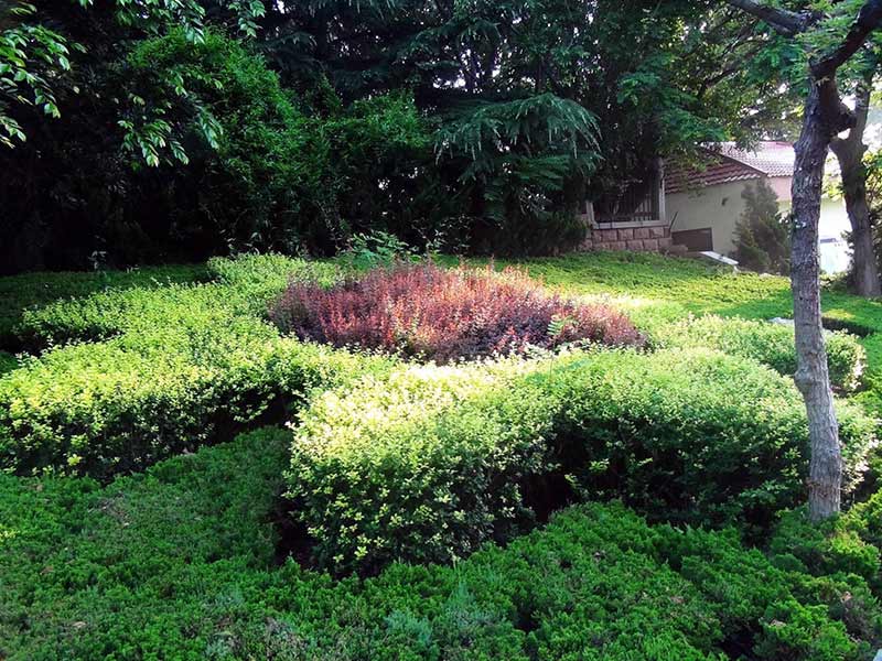 綠化養(yǎng)護.jpg 綠化養(yǎng)護.jpg