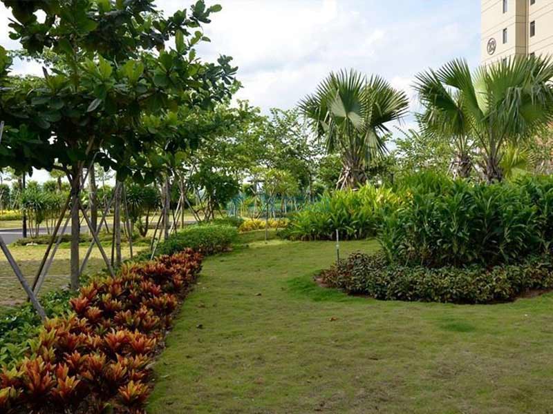 公園綠化養(yǎng)護.jpg 公園綠化養(yǎng)護.jpg