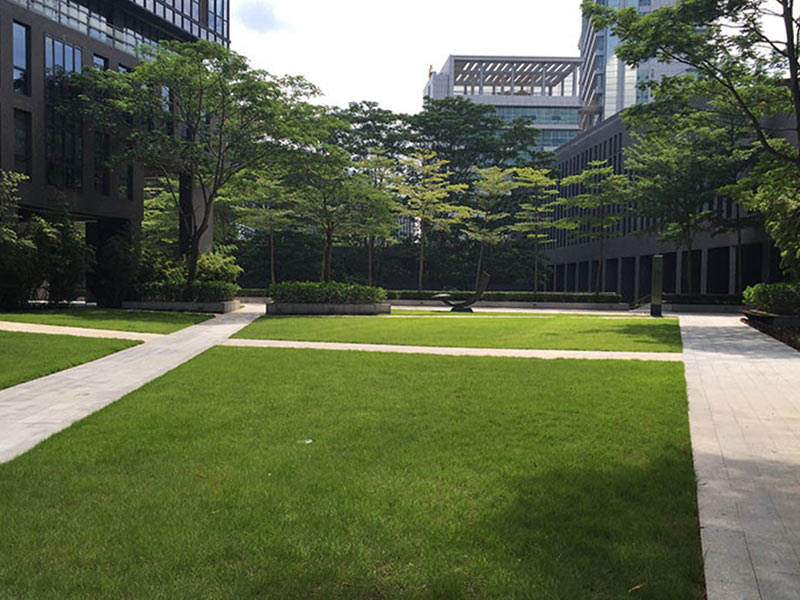 廠區(qū)綠化養(yǎng)護.jpg 廠區(qū)綠化養(yǎng)護.jpg