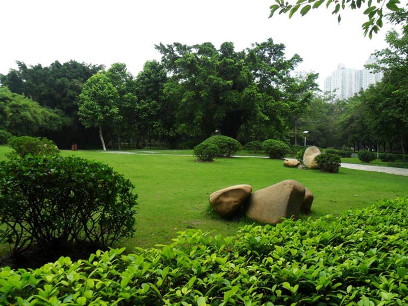 廣場(chǎng)綠化養(yǎng)護(hù).jpg 廣場(chǎng)綠化養(yǎng)護(hù).jpg